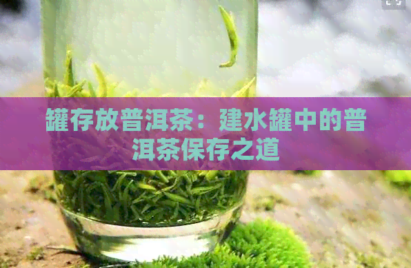 罐存放普洱茶：建水罐中的普洱茶保存之道