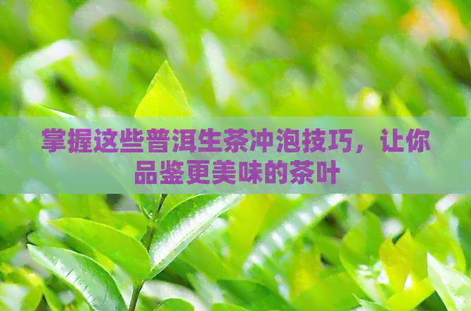 掌握这些普洱生茶冲泡技巧，让你品鉴更美味的茶叶