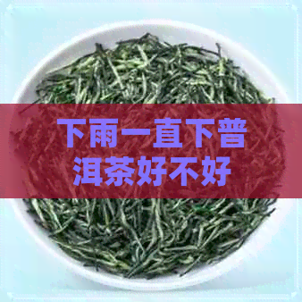 下雨一直下普洱茶好不好