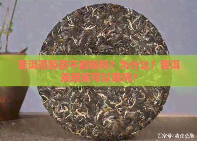 普洱茶新茶不能喝吗？为什么？普洱茶新茶可以喝吗？