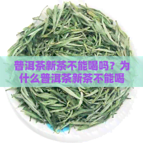 普洱茶新茶不能喝吗？为什么普洱茶新茶不能喝？普洱茶新茶可以喝吗？