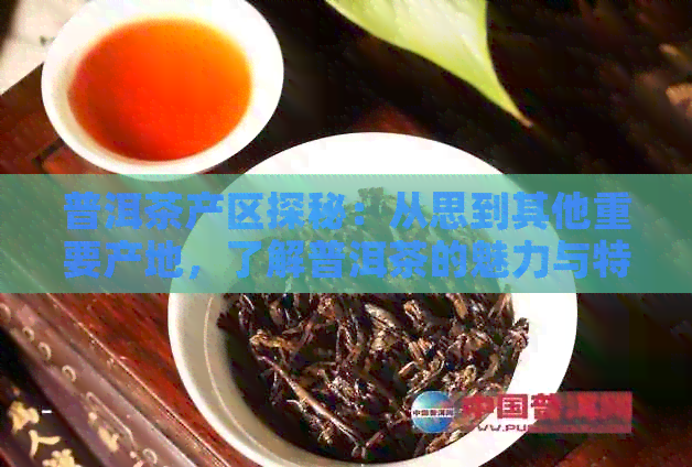 普洱茶产区探秘：从思到其他重要产地，了解普洱茶的魅力与特点