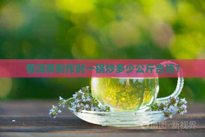 普洱茶制作时一锅炒多少公斤合适？