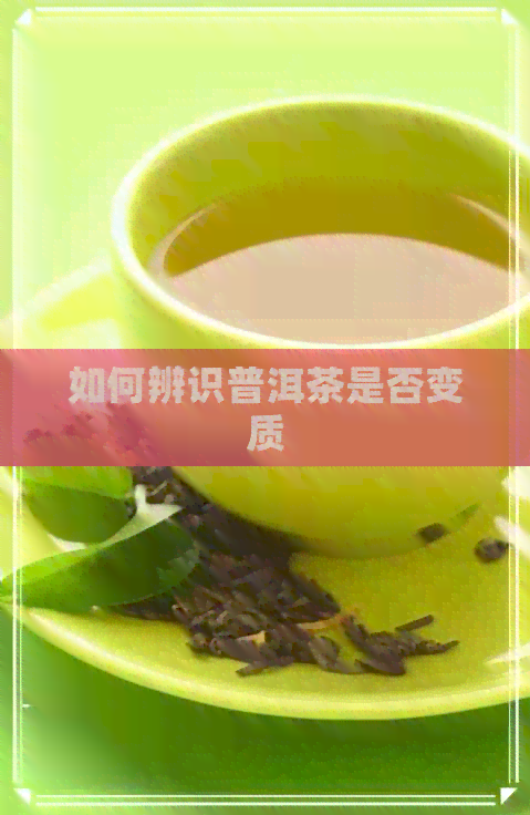 如何辨识普洱茶是否变质