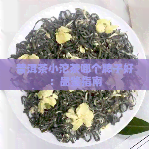 普洱茶小沱茶哪个牌子好：品鉴指南