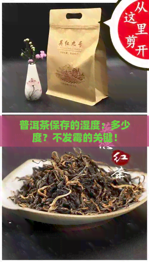 普洱茶保存的湿度：多少度？不发霉的关键！