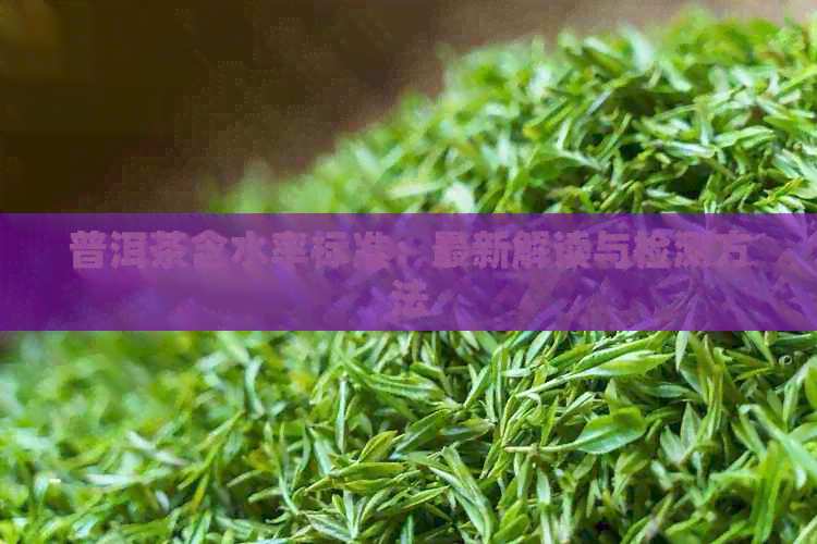 普洱茶含水率标准：最新解读与检测方法