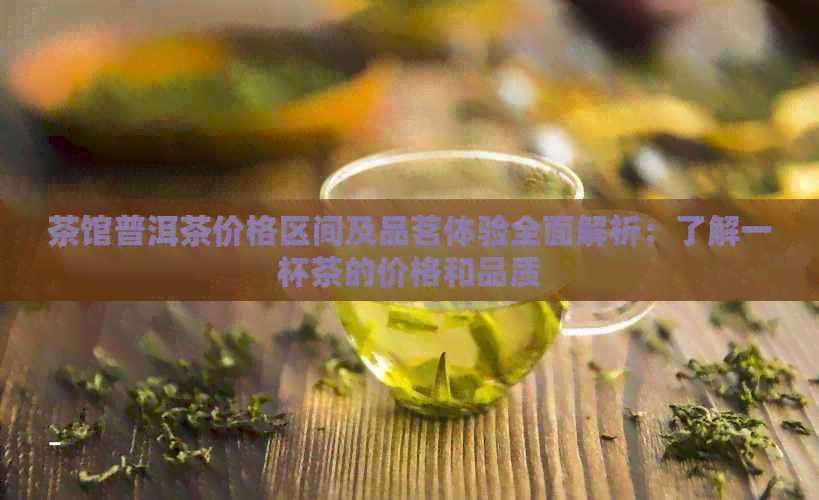 茶馆普洱茶价格区间及品茗体验全面解析：了解一杯茶的价格和品质