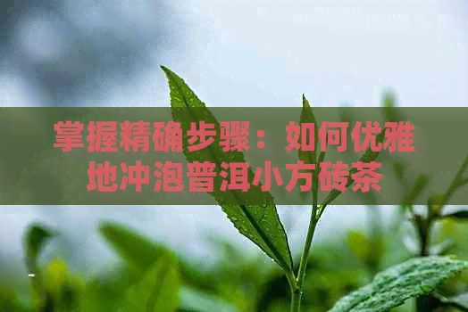 掌握精确步骤：如何优雅地冲泡普洱小方砖茶