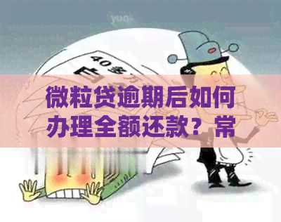 微粒贷逾期后如何办理全额还款？常见处理方法及注意事项一览