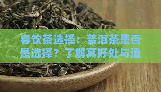 春饮茶选择：普洱茶是否是选择？了解其好处与适宜饮用方法