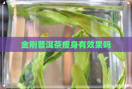 金刚普洱茶瘦身有效果吗