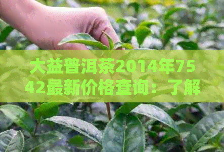 大益普洱茶2014年7542最新价格查询：了解这款生普茶的价格信息。