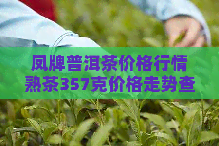 凤牌普洱茶价格行情熟茶357克价格走势查询