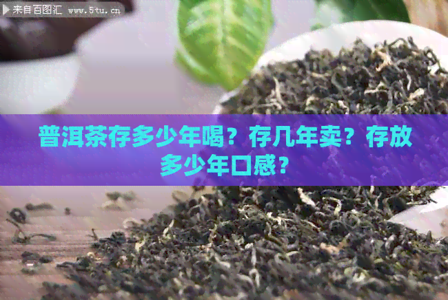 普洱茶存多少年喝？存几年卖？存放多少年口感？