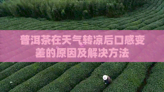 普洱茶在天气转凉后口感变差的原因及解决方法