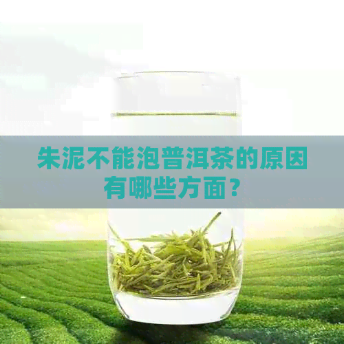 朱泥不能泡普洱茶的原因有哪些方面？