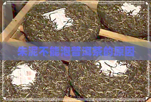 朱泥不能泡普洱茶的原因