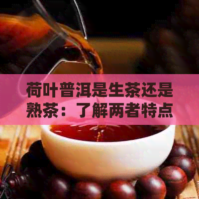 荷叶普洱是生茶还是熟茶：了解两者特点及适用人群与功效