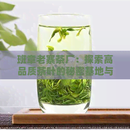 班章老寨茶厂：探索高品质茶叶的秘密基地与独特工艺