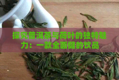 探究普洱茶与荷叶的独特魅力：一款全面健的饮品