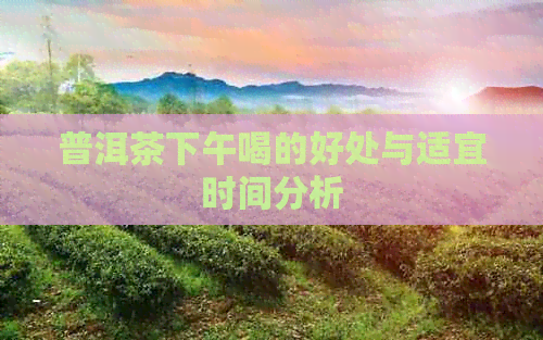 普洱茶下午喝的好处与适宜时间分析