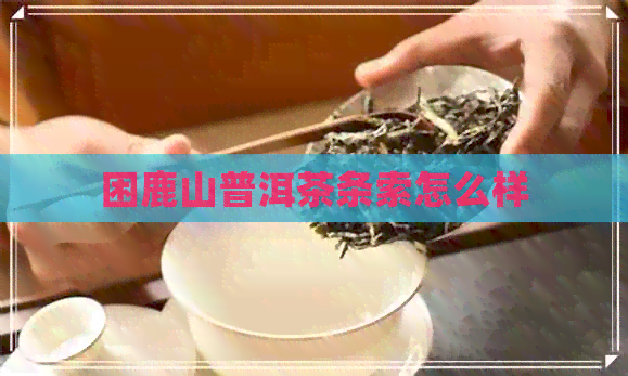 困鹿山普洱茶条索怎么样