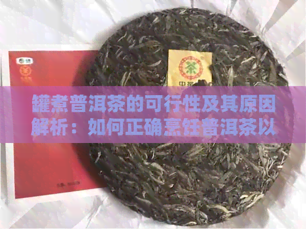 罐煮普洱茶的可行性及其原因解析：如何正确烹饪普洱茶以获得口感？