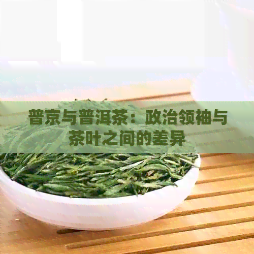 普京与普洱茶：政治领袖与茶叶之间的差异