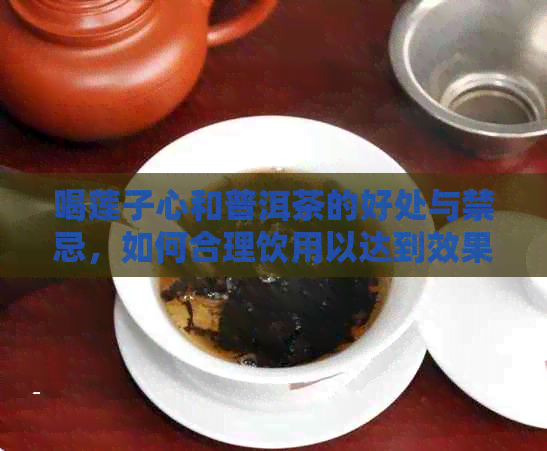 喝莲子心和普洱茶的好处与禁忌，如何合理饮用以达到效果？