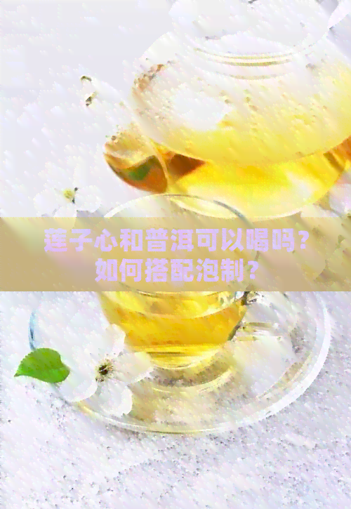 莲子心和普洱可以喝吗？如何搭配泡制？