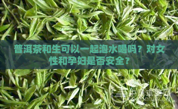 普洱茶和生可以一起泡水喝吗？对女性和孕妇是否安全？