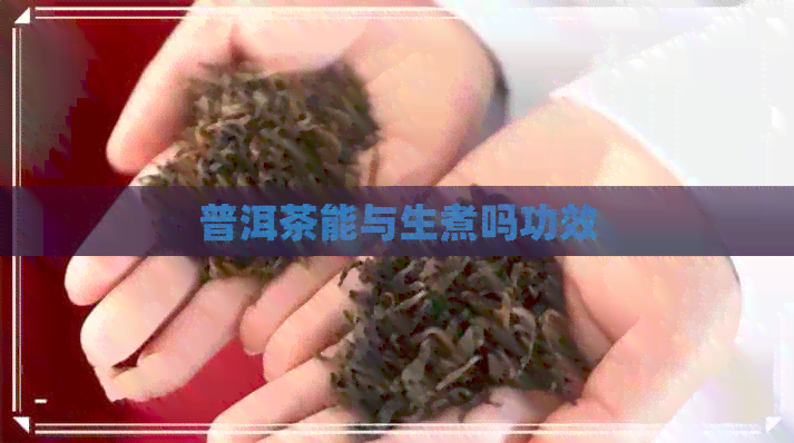 普洱茶能与生煮吗功效