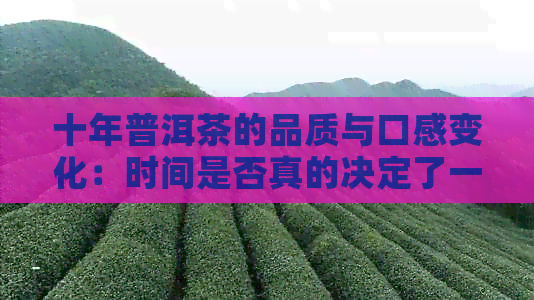 十年普洱茶的品质与口感变化：时间是否真的决定了一切？