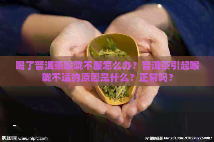 喝了普洱茶喉咙不服怎么办？普洱茶引起喉咙不适的原因是什么？正常吗？