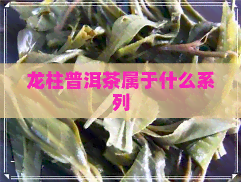 龙柱普洱茶属于什么系列