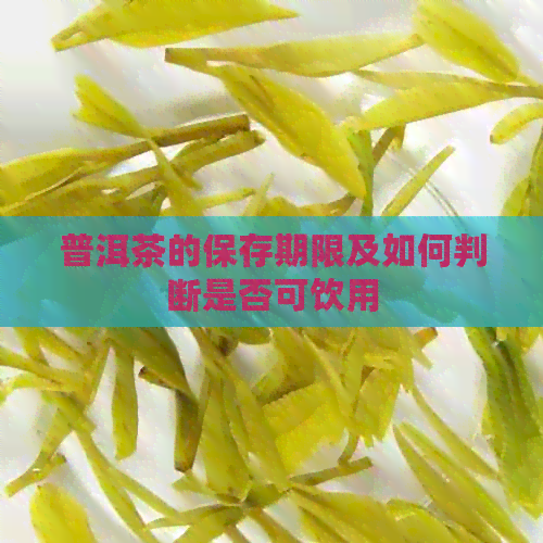 普洱茶的保存期限及如何判断是否可饮用