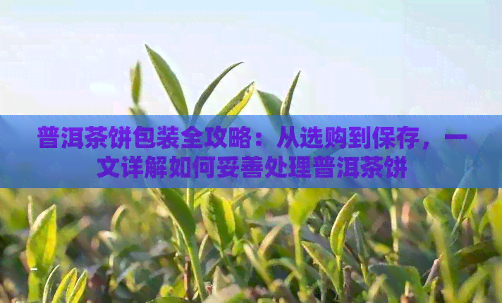 普洱茶饼包装全攻略：从选购到保存，一文详解如何妥善处理普洱茶饼