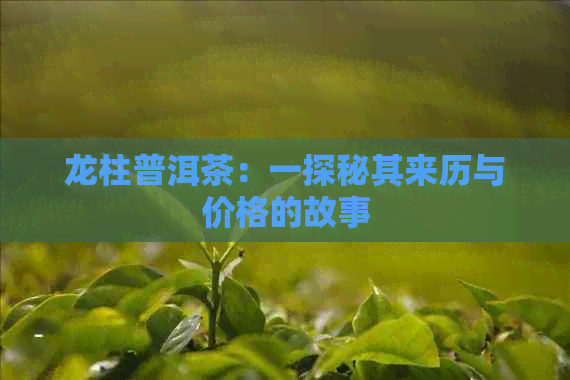 龙柱普洱茶：一探秘其来历与价格的故事