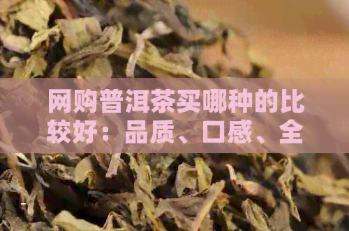 网购普洱茶买哪种的比较好：品质、口感、全解析