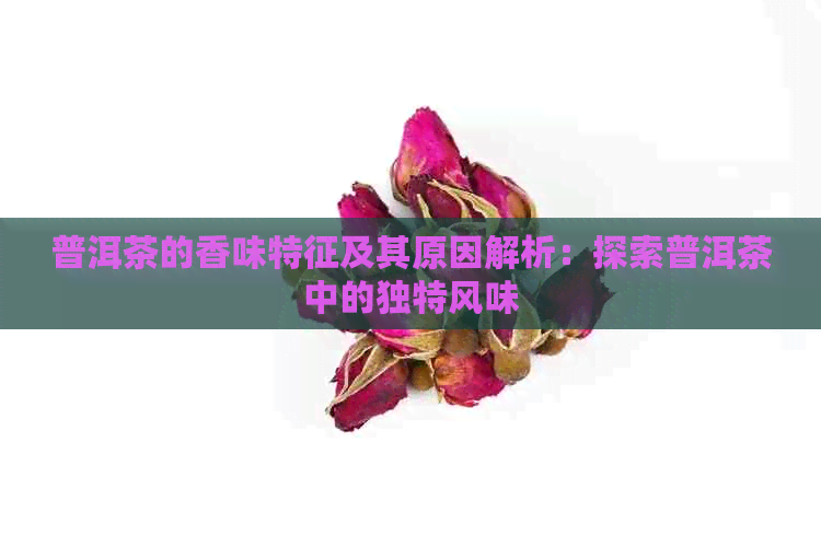 普洱茶的香味特征及其原因解析：探索普洱茶中的独特风味