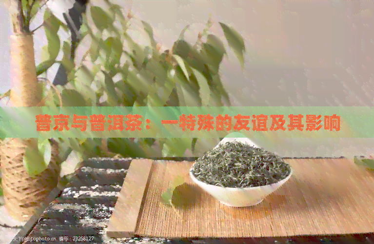 普京与普洱茶：一特殊的友谊及其影响