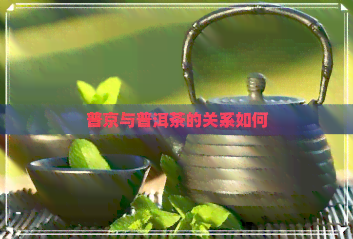 普京与普洱茶的关系如何