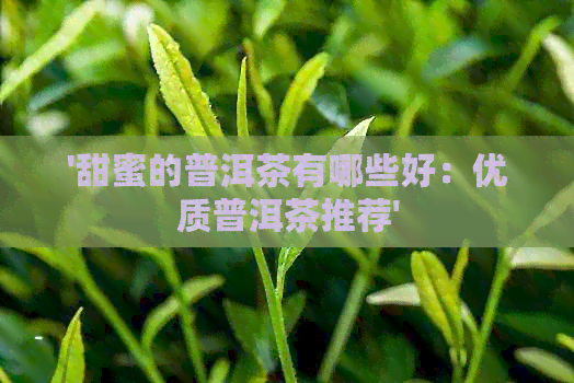 '甜蜜的普洱茶有哪些好：优质普洱茶推荐'