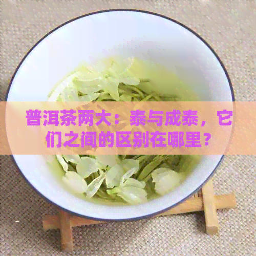 普洱茶两大：泰与成泰，它们之间的区别在哪里？