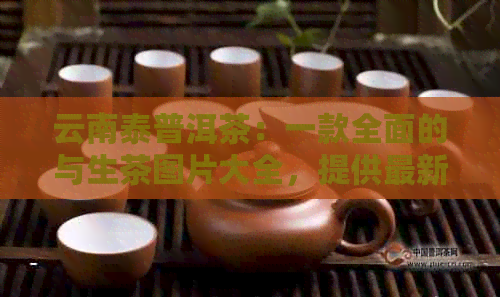 云南泰普洱茶：一款全面的与生茶图片大全，提供最新价格