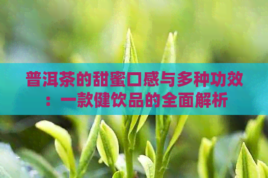 普洱茶的甜蜜口感与多种功效：一款健饮品的全面解析