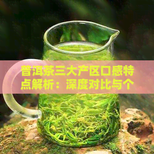 普洱茶三大产区口感特点解析：深度对比与个人喜好选择