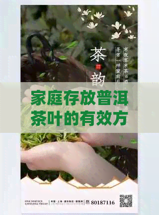 家庭存放普洱茶叶的有效方法和心得分享