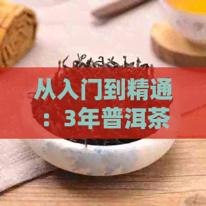 从入门到精通：3年普洱茶品鉴之旅